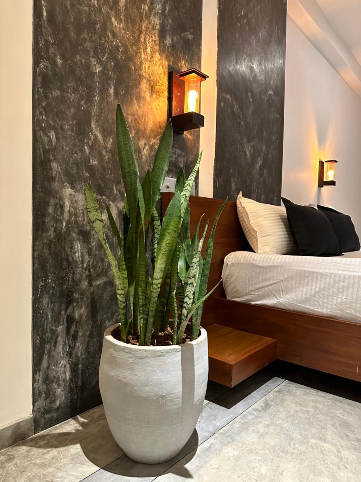 Hotel Ami *